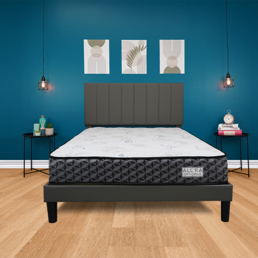 Ortho Plus 10 Inches Mattress