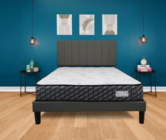 Ortho Plus 10 Inches Mattress